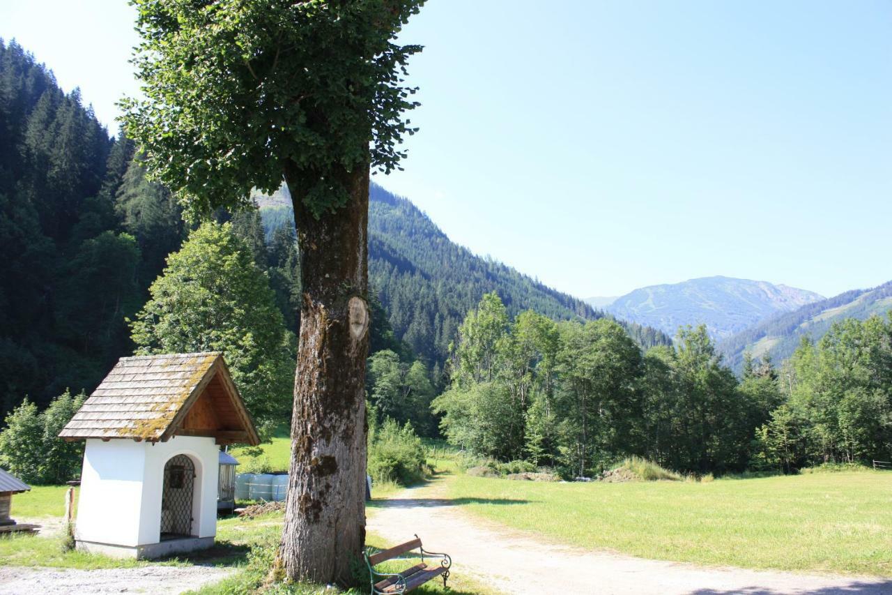 Chalet Ferienhaus Radmer Radmer an der Hasel Exterior photo